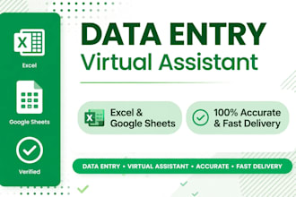 your data entry virtual assistant for excel and google sheet