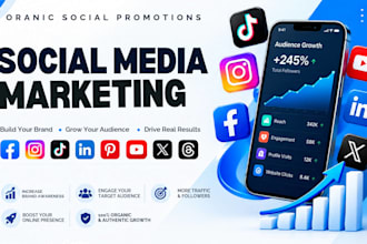 manage social media marketing and organic website promotion, business for growth