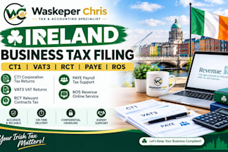 file irish ct1, vat3, rct, ros filing, paye tax returns and corporation tax