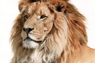 create realistic animal illustration