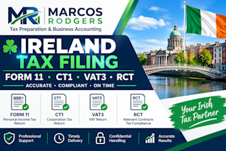 handle ireland tax filing, form 11, ct1, vat3, rct and corporation tax filing