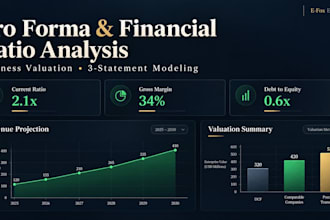 create a pro forma, financial ratio, and business valuation analysis