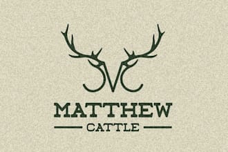create a western vintage rodeo, horse logo