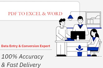 do PDF to excel or word conversion and data entry