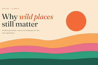 design a modern powerpoint or google slides presentation
