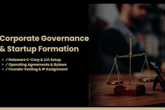 draft corporate governance documents and startup formation legal framework