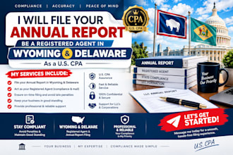 file annual report , be registered agent in wyoming and delaware