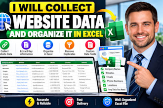 collect website data and organize it in excel