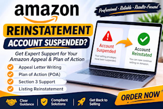 write your amazon suspension appeal and plan of action