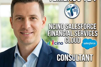 be your temenos, ncino financial services cloud consultant