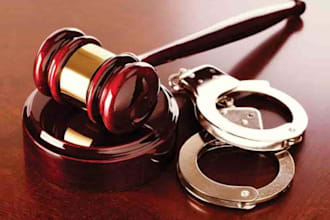 draft a professional civil right complaint