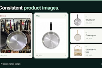 clean up and organize your shopify product catalog