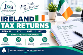 file ireland form 11, self assessment, paye, tax relief, ct1, vat3, rct and ros