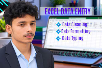 do excel data entry like cleaning, formatting and copy paste