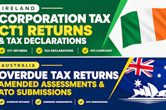 file ireland corporation tax ct1 returns and tax declarations
