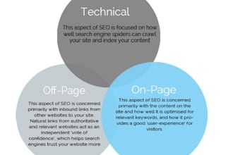 give you complete on page n off page audit report