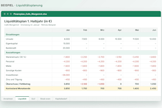 ich erstelle deinen finanzplan und cashflow plan in excel