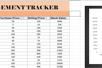 create professional excel spreadsheets and trackers