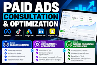 consult on your ad campaigns or strategy