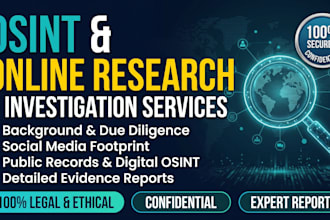 conduct professional osint investigation and online research