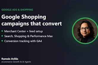 set up google shopping and search ads for your online store