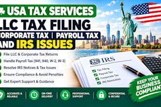 handle llc tax filing, corporate tax, payroll tax and irs issues