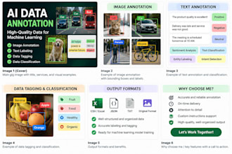 provide accurate ai data annotation, labelling and tagging services