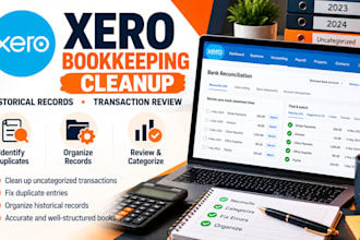 in 9hrs clean up historical bookkeeping records in xero