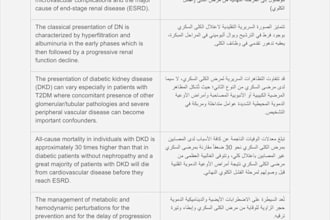 provide professional medical translation english and arabic
