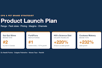 create a cpg product launch plan with pricing and retail strategy