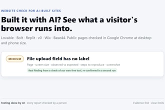 test your ai built website and send a prioritized bug report