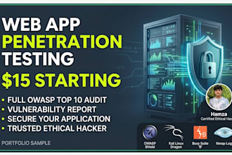 perform web application penetration testing