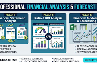 do financial planning and full statement ratios and analysis