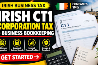 prepare irish ct1 corporation tax returns and business bookkeeping