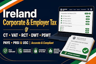 file ireland corporate tax, vat, rct, dwt, pswt, employer paye, prsi and usc