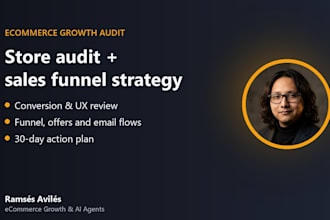 audit your ecommerce store and build a sales funnel strategy