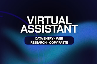 be your virtual assistant for data entry and web research