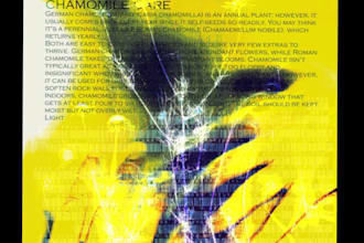 design an experimental poster for your concert, gig or event