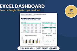 build a custom excel or google sheets dashboard