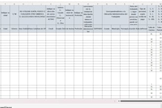 organizacion de datos en excel y hojas de calculo