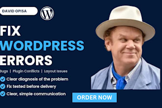 fix wordpress bugs, broken layouts and website errors