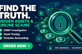 do osint investigation, asset tracing, forensic accounting