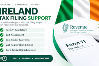 file your irish form 11, self assessment, vat3, ct1 and ros return
