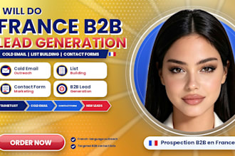 do france b2b lead generation cold email list building contact form marketing
