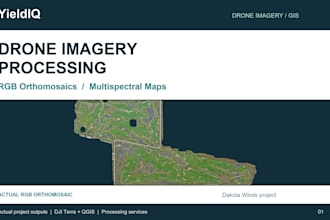 process drone imagery into orthomosaics and vegetation index maps