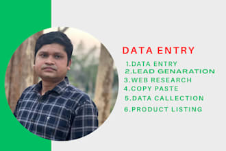 professional data entry, web research, and services