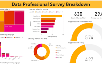 transform data into meaningful visual insight