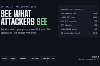 scan your company external attack surface and deliver a security report