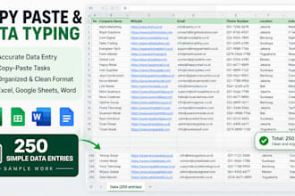 do copy paste tasks and accurate data typing