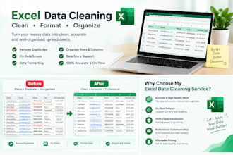 clean, format and organize excel data professionally